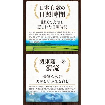 ふるさと納税 野木町 栃木県産コシヒカリ白米10kg 6ヶ月定期便《お申込み翌月から出荷》 |  | 02