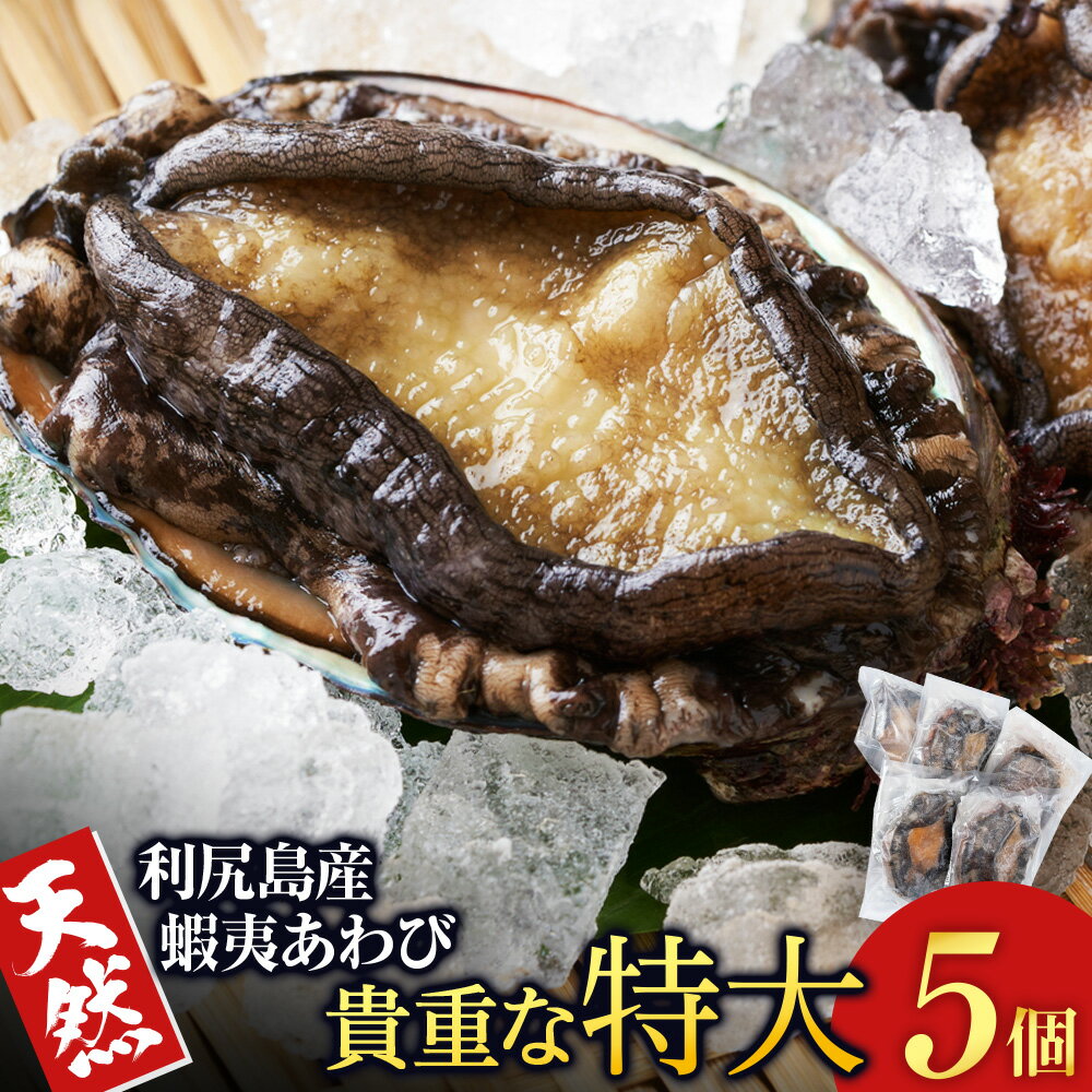【ふるさと納税】【2025年1月以降発送】北海道 利尻島産 ☆天然蝦夷あわび 特大☆ 5個 冷凍あわび北海道ふるさと納税 利尻富士町 ふるさと納税 北海道 海鮮 鮑 あわび えぞアワビ 冷凍アワビ 北海道産アワビ 産地直送 天然 冷凍 産地直送 刺身 高級海鮮 海鮮 おせち