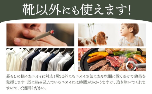 インソール 消臭 漆Ｉder A 黒 あらい有限会社《30日以内に発送予定(土日祝除く)》 靴 消臭 漆 長持ち インソール 