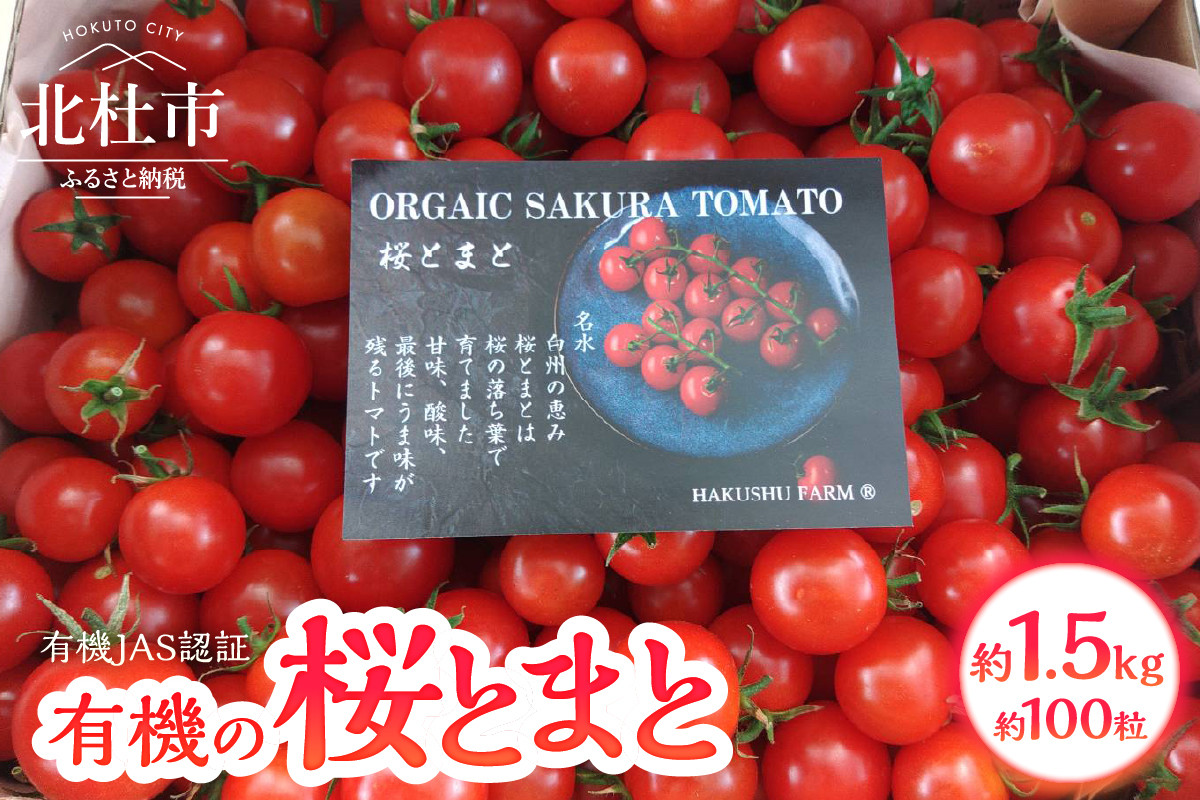 
            極上の有機桜とまと 1.5kg詰め合わせ トマト 1.5kg 詰め合わせ 約100粒 桜とまと 有機のチェリートマト ミニトマト 期間限定 数量限定 名水育ち 有機栽培 有機野菜 プチトマト 野菜 新鮮 極上 山梨県産 北杜市産
          