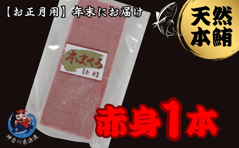 
            【年内発送】神奈川県漁連 天然本マグロ 赤身サク【お正月用】　M077-013-01
          