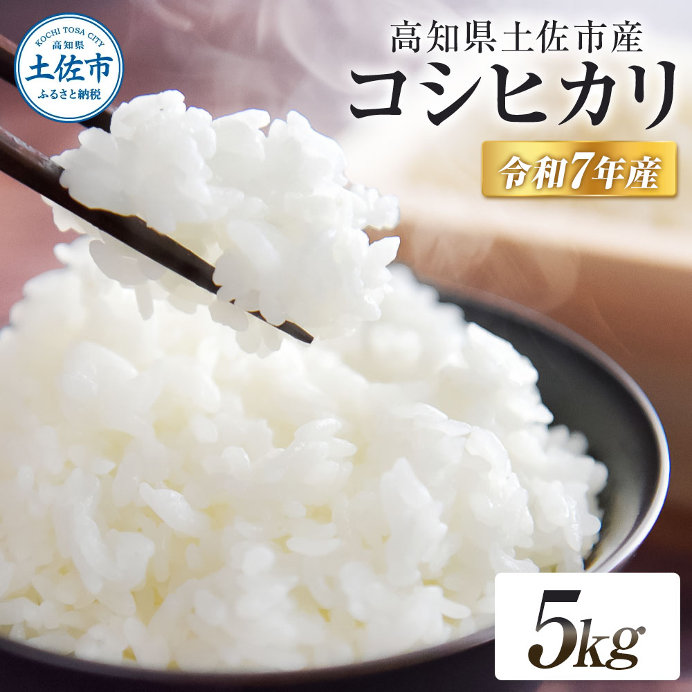 コシヒカリ 令和7年産 5kg 5キロ 精米 白米 お米 ご飯 ごはん 米 kome こめ こしひかり 高知県産 国産 お取り寄せ 常温 高知県 高知 土佐市