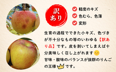 【先行予約】 【訳あり】サンふじ 【約5kg(11〜20玉）】 （2025年産） (7-A39-2) 長野県 飯山市 おすすめ ランキング おいしい 高評価 大人気  りんご リンゴ ふじ ふじ ふじ