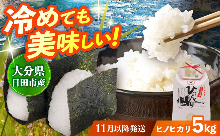 【先行予約・25年11月以降発送】令和7年産大分県産ヒノヒカリ 5kg　日田市 / JAおおいた日田グリーンセンター 米 [ARDX004]