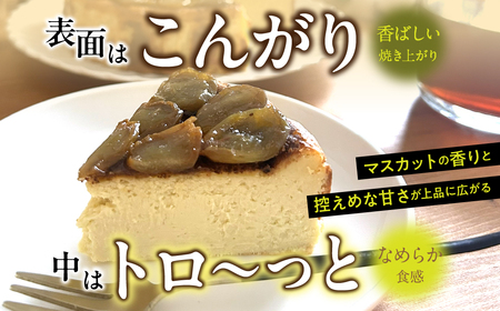 シャインマスカットバスクチーズケーキ DSX008