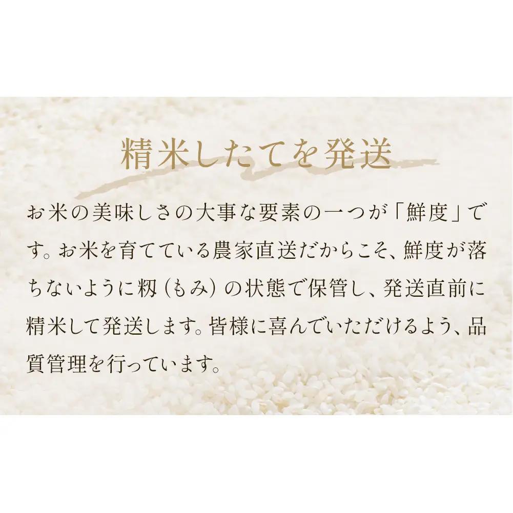米 令和7年産 ひとめぼれ 精米 5kg 単品 こめ コメ お米 ご飯 白米 ヒトメボレ 特別栽培米 減農薬栽培 ヨシ腐葉土米 ブランド米 国産 ごはん ライス お弁当 おにぎり 宮城県 石巻市 宮城