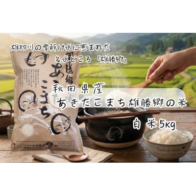 ふるさと納税 湯沢市 あきたこまち 雄勝郷の米 白米5kg[B2004]
