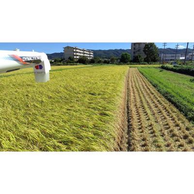 ふるさと納税 京丹後市 【令和7年産 先行予約】京都 丹後産コシヒカリ(玄米10kg)農家直送つやつやもっちり、京の米 |  | 02