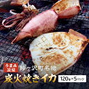 【ふるさと納税】イカ 炭火焼きイカ 5パック セット 青森 いか 干物 干物セット するめ スルメ スルメイカ 海鮮 魚介類 魚介 海産物 国産 加工食品 惣菜 青森県 鰺ヶ沢町 ※ご入金確認後 3ヶ月以内の発送になります。　【 青森県鰺ヶ沢町 】