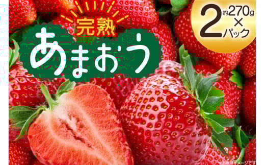 【期間限定発送】 いちご 完熟 あまおう 約270g 2p [mhshops 福岡県 筑紫野市 21761027] イチゴ 苺 フルーツ 果物 くだもの 2パック