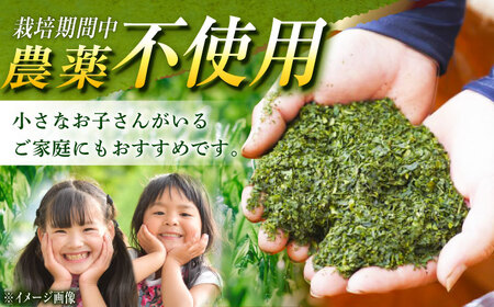 【TVで紹介！】栽培期間中農薬不使用 そのぎ抹茶 計1kg (100g×10袋) 茶 お茶 抹茶 緑茶 日本茶 東彼杵町/FORTHEES [BBY005] / 茶 お茶 抹茶 緑茶 日本茶 茶 お茶