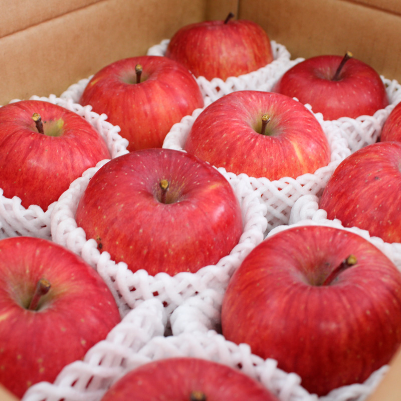 ☆フルーツ王国山形☆かわいい 小玉サンふじりんご 5kg 24玉