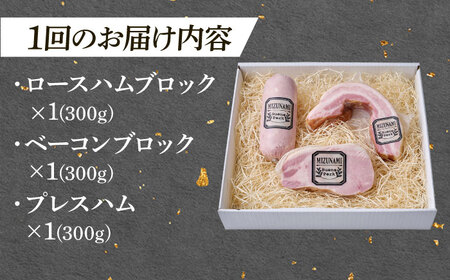 【12回定期便】 ハム・ベーコン ブロック 瑞浪ボーノポーク 工房長厳選！プレミアムセット 900g (冷凍) 瑞浪市 / きなぁた瑞浪 詰め合わせ ギフト[AZCI109]