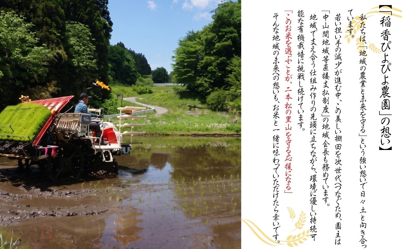 令和8年産 《2026年10月中旬以降順次発送》有機JAS コシヒカリ 玄米 10kg【稲香ぴよぴよ農園】