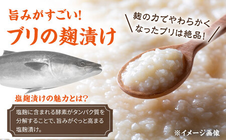 長崎県産ブリ切身 塩麹漬け 小分け 計8切れ（2切れ×4パック） / ブリ ぶり 鰤 魚 切り身 切身 小分け 冷凍 小分けパック 簡単調理 長崎県産 魚 焼くだけ 和食 塩こうじ 塩麹 / 大村市 