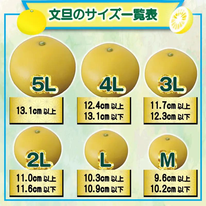 土佐文旦 3kg 家庭用 文旦