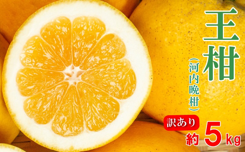 
                  訳あり 河内晩柑 王柑 5kg サイズミックス (M~4L)   柑橘 みかん 愛南ゴールド 河内晩柑 晩柑 和製 グレープフルーツ 傷 不揃い 規格外 常温 愛南町 大串農園  発送: 5月下旬～6月上旬 (なくなり次第終了)
                