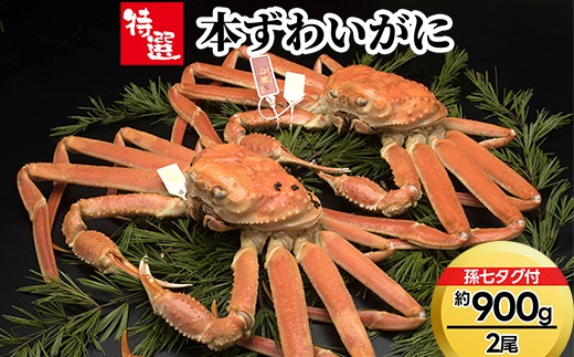 【特選】本ずわいがに約900g×2尾（孫七タグ付き）