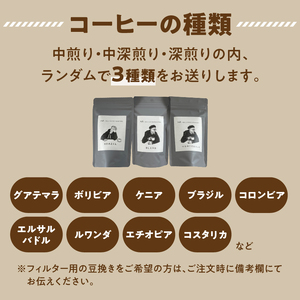 スペシャルティコーヒー【あっさり】豆 100g×3袋【メール便】 コーヒー 珈琲 豆 自家焙煎 スペシャルティコーヒー 美味しい 100g 3袋 セット 福岡県 八女市 ポスト投函 簡易包装 訳あり 