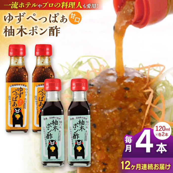【ふるさと納税】【全12回定期便】ゆずぺっぱぁ 甘口 120ml 柚木ポン酢 120ml 各2本 柚木ポン酢 120ml 各2本 柚子 ゆず ポン酢 ゆずポン酢 ゆずポン 液体柚子胡椒 タレ ドレッシング 調味料 国産 九州産 熊本県産 山都町産 熊本 山都町【本田農園】[YDL038]