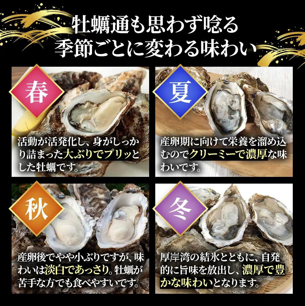【 3ヵ月 定期便 】 北海道厚岸産 生食用 殻付カキ LLサイズ  12個　マルえもん 魚貝類 海の幸 海のミルク 海鮮 国産 北海道産 オイスター つまみ お酒 あて 肴 生牡蠣 メルマガ掲載商品