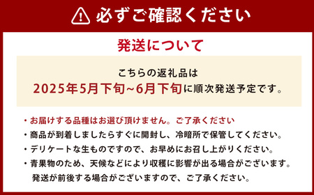 熊本県産 小玉すいか 2玉 スイカ 果物 フルーツ くだもの 西瓜【2025年5月下旬～6月下旬発送予定】