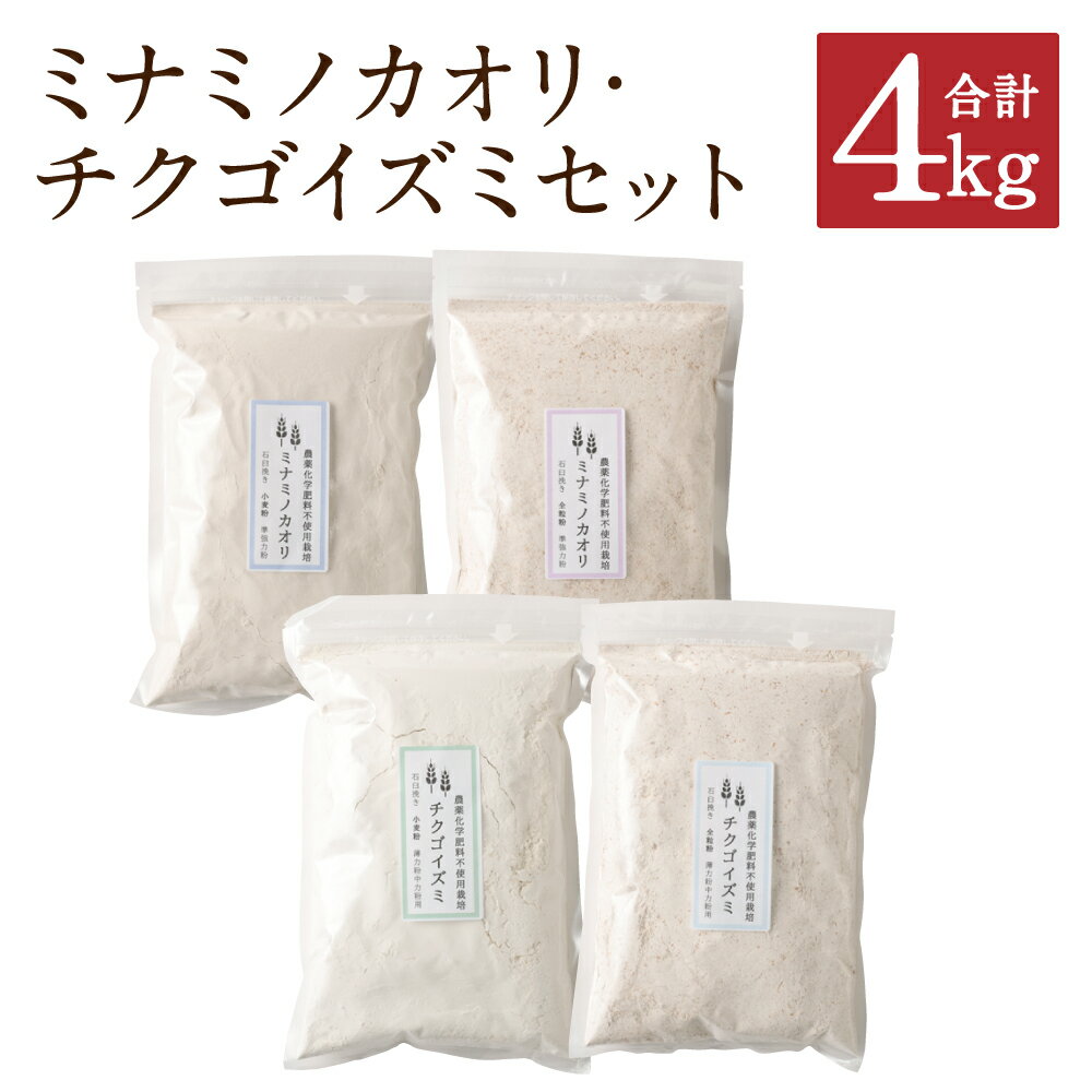 【ふるさと納税】ミナミノカオリ・チクゴイズミ 小麦粉・全粒粉セット 4種類 1kg×4個 合計4kg 小麦粉 全粒粉 粉 中力粉 栽培期間中農薬不使用 九州産 福岡県筑後市産 国産 送料無料