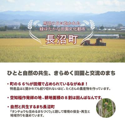 ふるさと納税 長沼町 【令和7年産・無洗米・真空パック】長沼町産ゆめぴりか 2kg×2袋 |  | 03