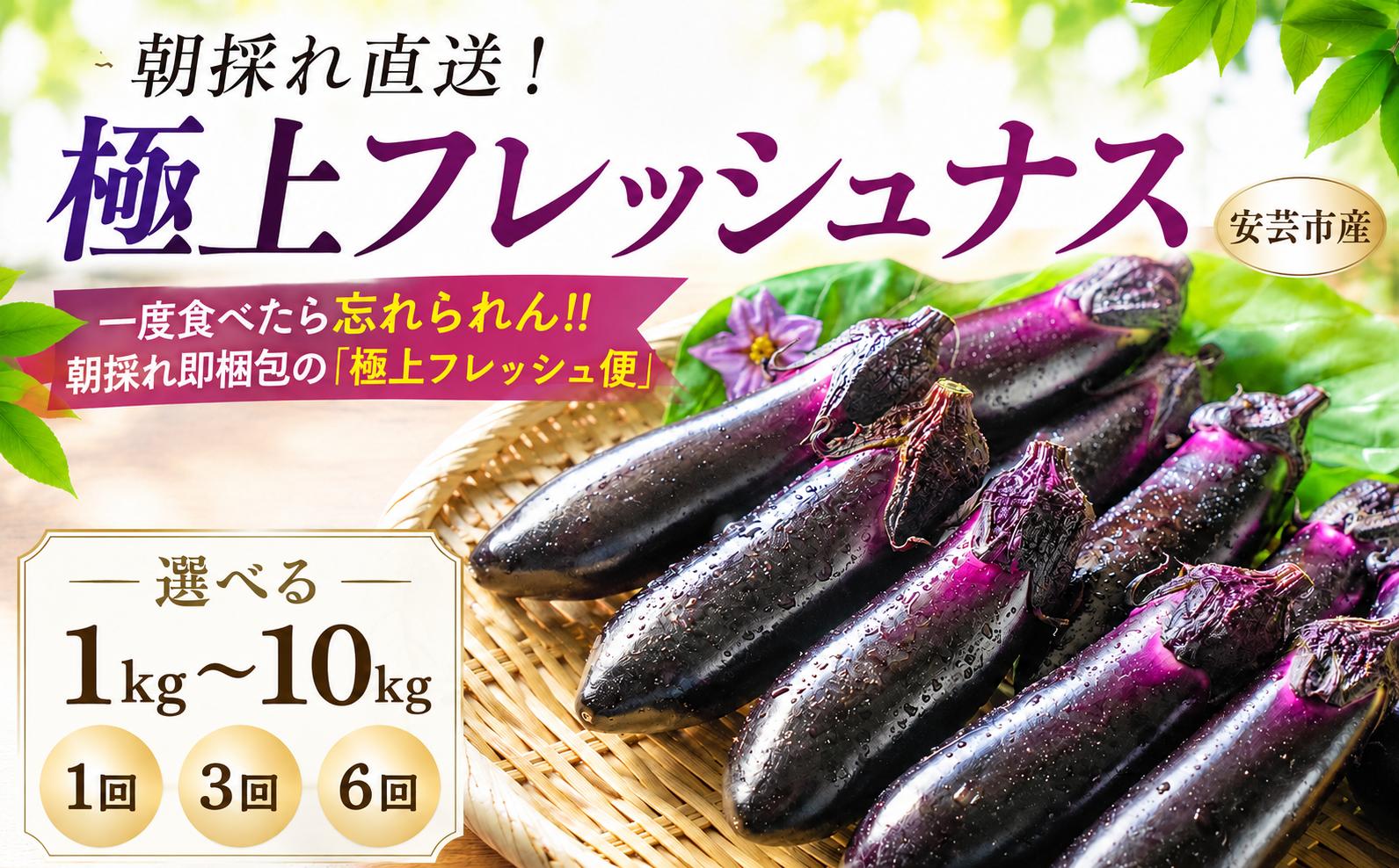 
                  なす 選べる 1kg 2kg 3kg 5kg 10kg 3回定期便 6回定期便 約10本 ～ 100本  朝採れ 農家直送 新鮮 旬 野菜 やさい 茄子 ナス なすび 先行予約 期間限定 季節 料理 ごはん 高知県 特産品 優秀賞 天敵農法 自家製肥料 環境制御 お竜 焼きなす 揚げ浸し 煮びたし カレー パスタ たたき こたにん農園 安芸市 高知県
                