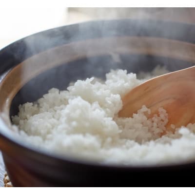 【蛇紋岩銀粒　彩りの舞5kg】