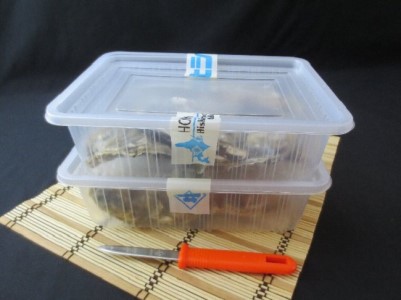 蒸し牡蠣 2パックセット レンジで簡単 カキ 牡蠣
