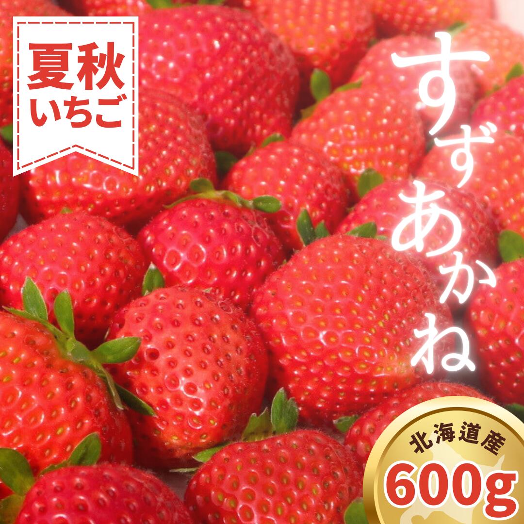 【ふるさと納税】【2025年7月順次発送】 夏秋イチゴ「すずあかね」計600g 《厚真町》【こばやしいちご農園】[AXBT003]