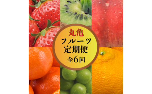 【果物を贅沢に味わう】 丸亀のフルーツ定期便 全6回 キウイ いちご 不知火 桃 シャインマスカット みかん さぬきひめ さぬき紅みかん 香緑 香川県 丸亀市