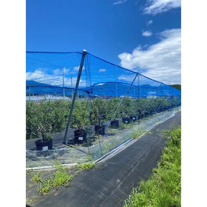 国産ブルーベリーピューレ3瓶 農薬不使用｜ベリー