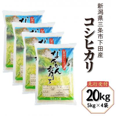 ふるさと納税 三条市 コシヒカリ 20kg (5kg×4袋) 令和7年産 新潟県三条市 【031S012】
