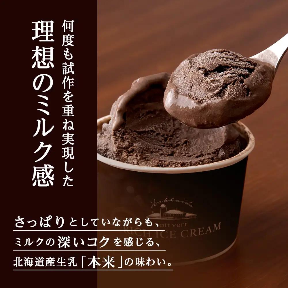 リッチアイスクリーム カカオ香るほどよい甘さのチョコレート 10個セット（100ml）