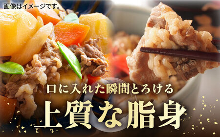 《A4～A5ランク》壱岐牛 切り落とし 500g 《壱岐市》【壱岐市農業協同組合】[JBO016] 肉 牛肉 切落し すき焼き しゃぶしゃぶ 細切れ 赤身 のし プレゼント 13000円
