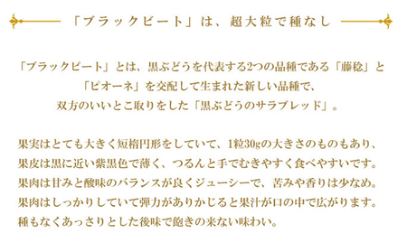 ぶどう 2024年 先行予約 ブラックビート 約400g×2房 ブドウ 葡萄  岡山県産 国産 フルーツ 果物 ギフト