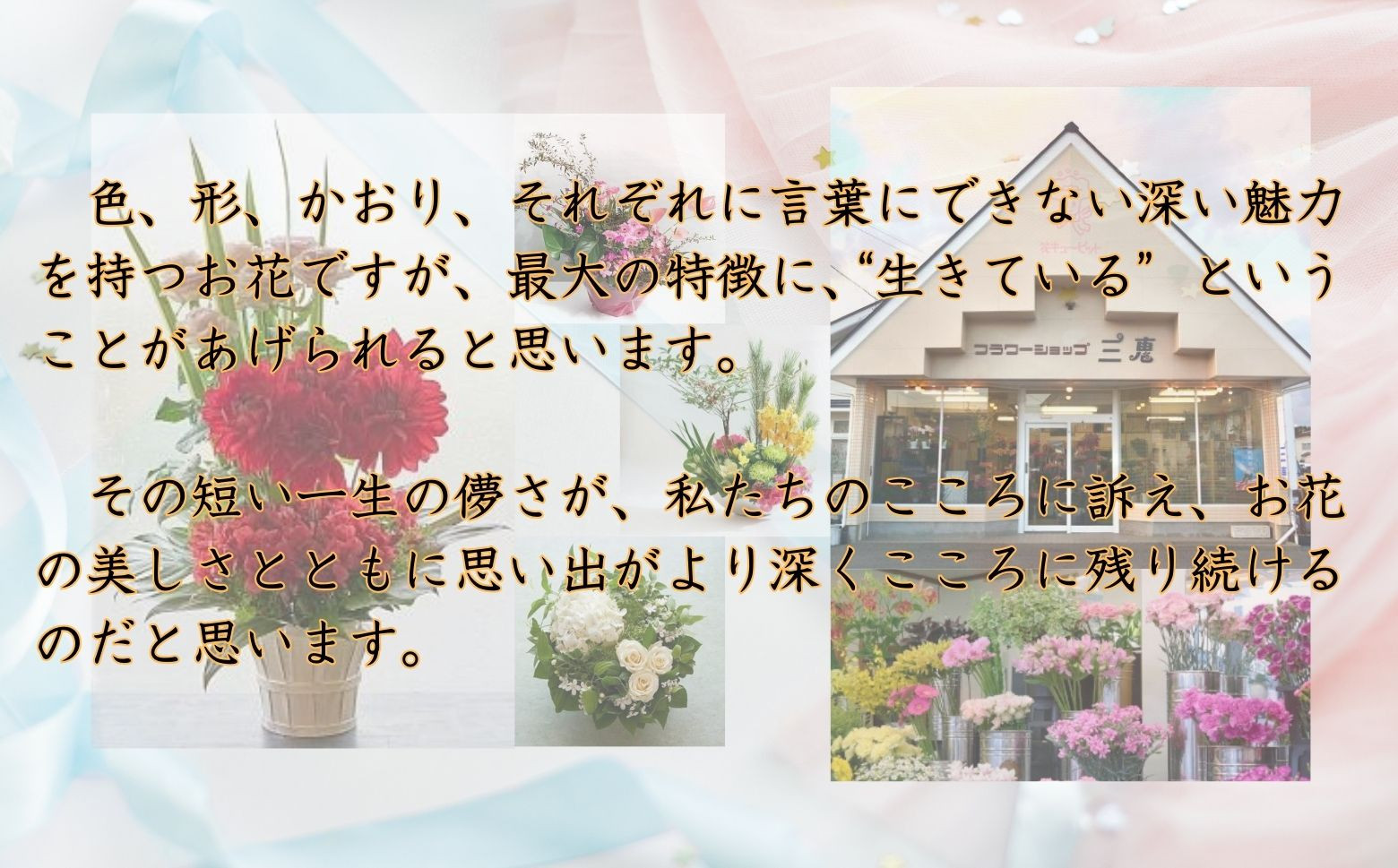 お花は生きています