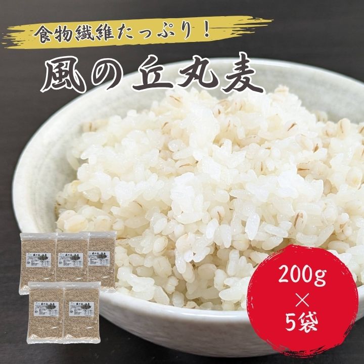 【ふるさと納税】風の丘丸麦　1kg（200g×5袋） ／ 丸麦 麦 むぎ 大麦 雑穀 雑穀米 麦ごはん 麦みそ 麦味噌 食物繊維