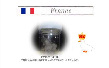 羽毛布団 シングル（G-03）（ブルー系） フランス産 ホワイトダウン 90％ ツインキルト2層式 抗菌 防臭