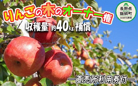 りんごの木オーナー ＜ サンふじの木 ＞ 家庭用 ? 特秀 約 40kg 補償 直売所利用券つき 収穫期間：2024年11月中旬?2024年12月初旬 令和6年度収穫分 長野 飯綱町 [0718]