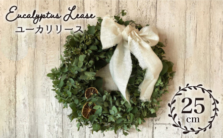【掛けても置いてもかわいい】ユーカリリース＜Pearl Bay Cafe & Flowers＞ [CEW004]