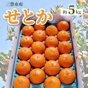 【ふるさと納税】【配送不可地域：北海道・沖縄県・離島】みかん せとか 約 5kg 15玉～28玉 三豊市産 とろける食感 ジューシー 甘い オレンジのような濃厚な味 手で簡単に皮がむける 中の薄皮も非常に薄い 柑橘 フルーツ 果物 2月上旬より順次発送 香川県 お取り寄せ 18000円