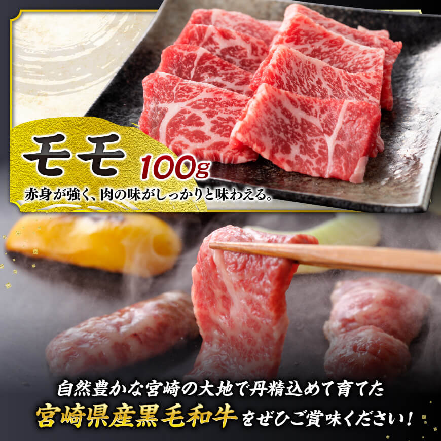 宮崎県産 黒毛和牛 と 豚肉 焼肉 10種 【 肉 牛肉 豚肉 ぶた肉 国産 黒毛和牛 食べ比べ 4等級 5等級 ミヤチク 焼肉 BBQ バーベキュー 】