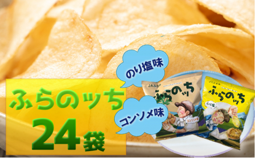 
【3ヵ月に1回お届け】JAふらの ポテトチップス 【ふらのっち】コンソメ＆のり塩各12袋 計24袋 ふらの農業協同組合(南富良野町) 芋 菓子 スナック じゃがいも お菓子 ポテチ 定期便
