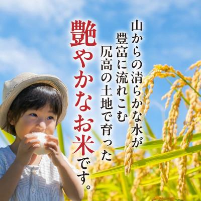 ふるさと納税 上毛町 【令和7年産】松本さんが作った上毛町尻高地区産の厳選米「夢つくし」5kg |  | 01