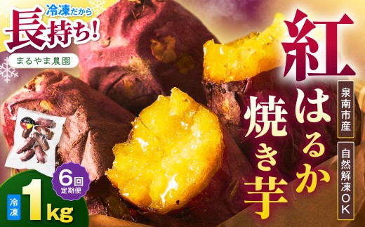 まるやま農園 冷凍焼き芋 毎月1kg 6回定期便 最初の月+1kg【087C-108】