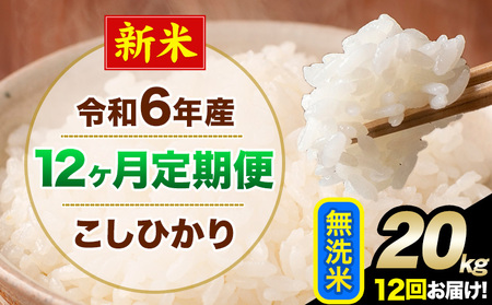 【12ヶ月定期便】令和6年産 新米 定期便 こしひかり 無洗米 定期便 20kg 精米 熊本県産(南阿蘇村産含む)  南阿蘇村《申込み翌月から発送》｜人気米 熊本県産米  生活応援米