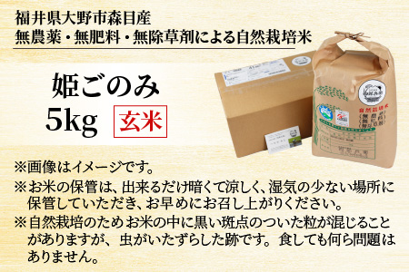 【令和5年産】ベストファーマー 自然栽培農家「四郎兵衛」の お米 姫ごのみ 5kg 玄米 無農薬 無肥料 無除草剤 による 自然栽培米